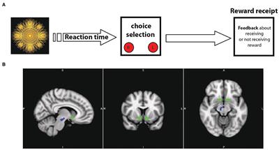 Mesolimbic Neurobehavioral Mechanisms of Reward Motivation in Anorexia Nervosa: A Multimodal Imaging Study